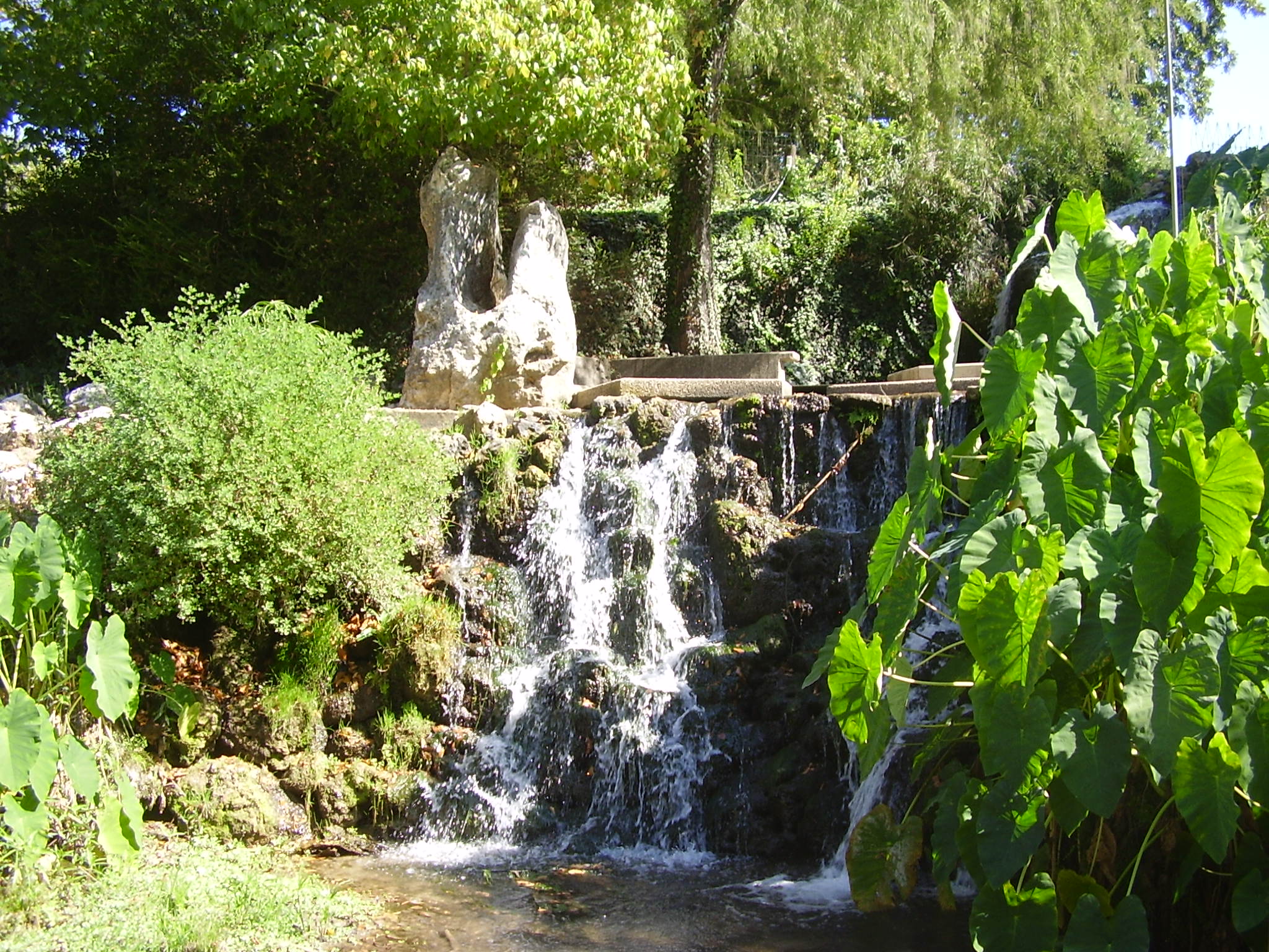 greenery waterfalls