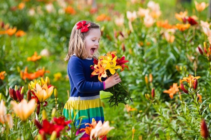 Flower picking festival happening over Pesach is a great events for children and adults alike