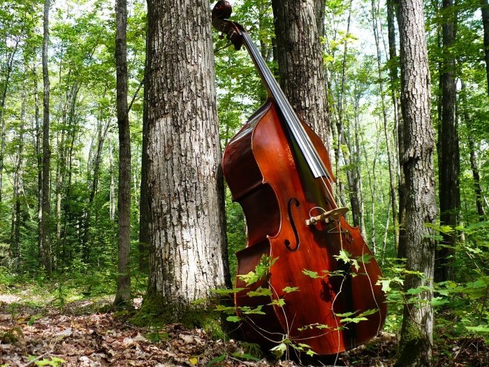 Optimized-bigstock-Double-Bass-in-Nature-10387022