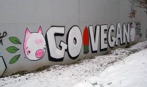 tel aviv goes vegan